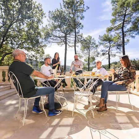 "Les Hauts Du Marquet" - Meuble De Tourisme 5 Etoiles - Gite De Groupe 15 Personnes En Cevennes - Piscine A Debordement - Balneo - Sauna - Nature Saint Jean du Pin Exteriér fotografie
